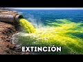 El océano podría dejar de respirar en 2026, aquí te explicamos por qué