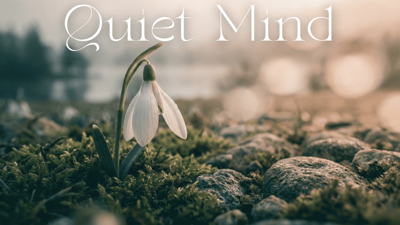Quiet Mind 🌫️🕯️ — Music for Overthinking