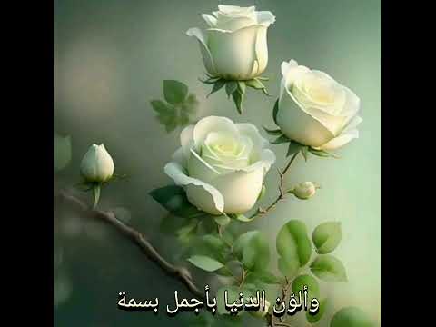 أسمو وأجتاز السماء جلالا