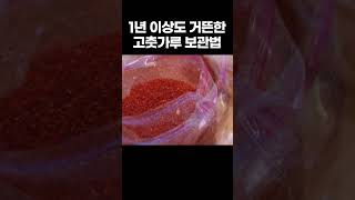 고춧가루 그냥 냉장고에 넣지 마세요!  &#39;이렇게&#39; 하면 1년 내내 신선합니다 / 고춧가루 보관법