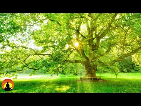 🔴 Relaxing Music 24/7, Healing Music, Meditation Music, Spa Music, Sleep, Zen, Study Music, Yoga