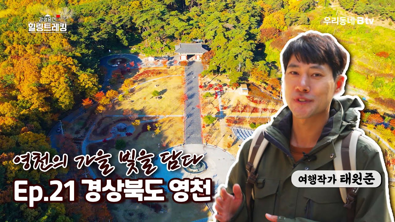 영천의 가을 빛을 담다 [감성충천⛳️ 힐링트레킹 21.Ep]