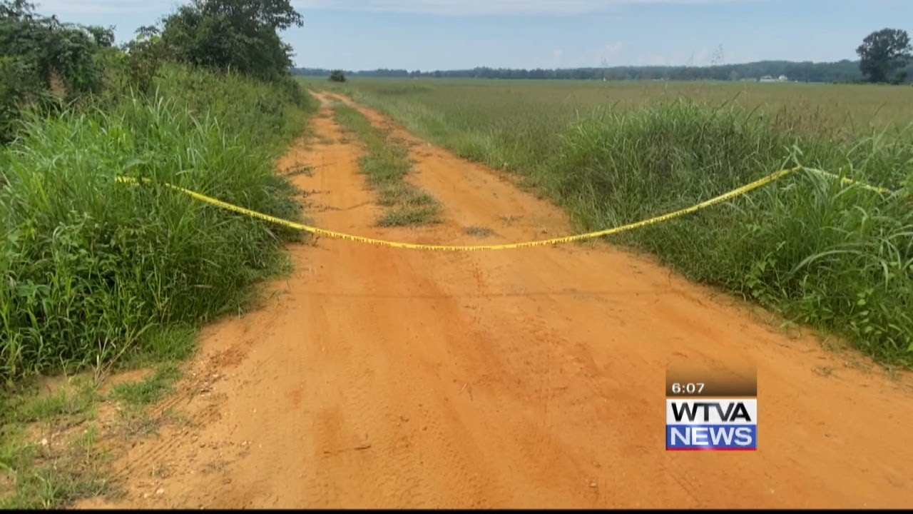 WTVA interviewed owner of field in which plane landed