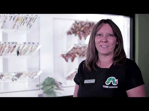 My Salt River Story | Adriane Grimaldi, Director of Education at Butterfly Wonderland (2019)