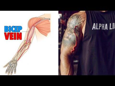 How To Get "de biceps Vein", ongeacht Genetics!