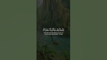 القارئ عبدالرحمن السويد - قراءه هادئه من سوره الزمر | مقاطع قرآن قصيرة وحالات واتس إسلامية 🌱