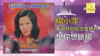 楊小萍 Yang Xiao Ping - 想你想斷腸 Xiang Ni Xiang Duan Chang (Original Music Audio)