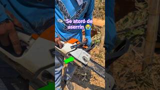 Se atoró de aserrín😭😭#asmrvideo #chainsaw #woodwork