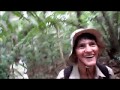 Guríses en el Amazonas 2 - Parte III