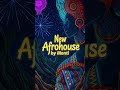 Afro Latin House — Two Continents, One Groove