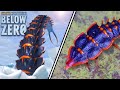 Subnautica Below Zero Creatures In Real Life! | Creature Counterparts