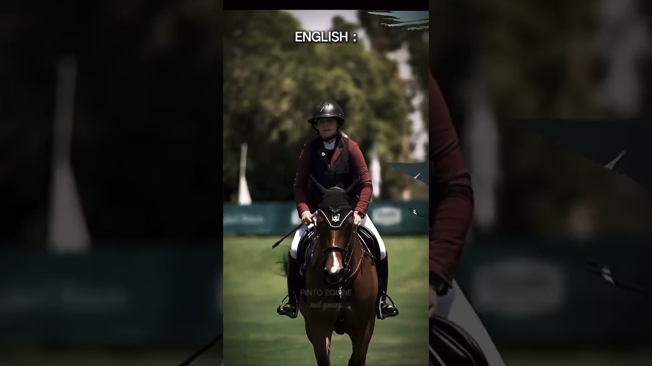 :: western or english?! 🤞🤔 :: 