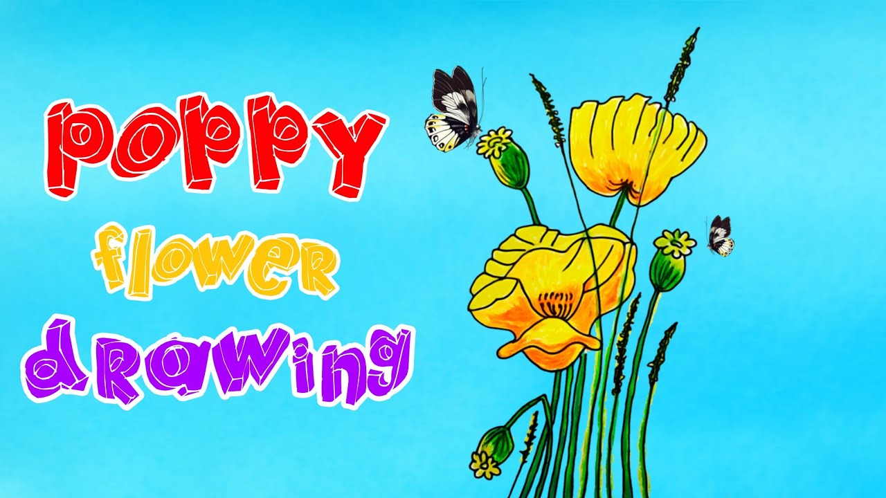 How To Draw Poppy Flower Step By Step