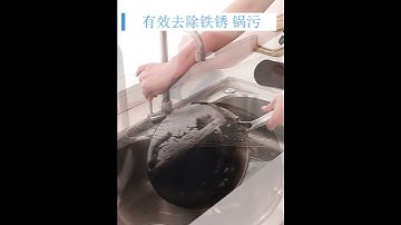 Bàn chải chà nồi chảo, rửa chén bát đa năng có tay cầm -T999