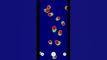 Physarum - slime mold simulation #creativecoding #physarum #particles #simulation