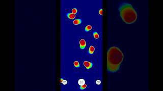 Physarum - slime mold simulation #creativecoding #physarum #particles #simulation