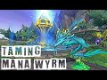 How to tame great blue  turquoise mana wyrm in wow dragonflight patch 1007