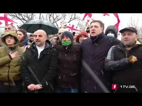 ნიკა მელიას მხარდამჭერების მსვლელობა