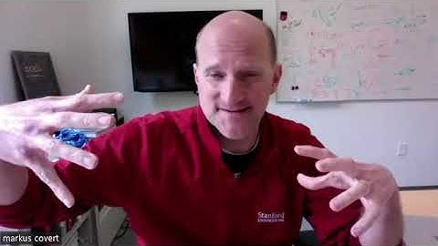 Whole Cell Modeling - A conversation with Markus Covert