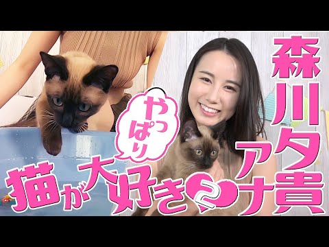 【森川夕貴アナ】飼い主＆オリちゃん大興奮のスーパーネコおもちゃとは!?【やっぱり猫が大好き♡】