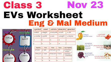 Class 3 Evs Worksheet Nov 23/3 rd std evs worksheet 23/11/21/Std 3 evs worksheet 23/11/21