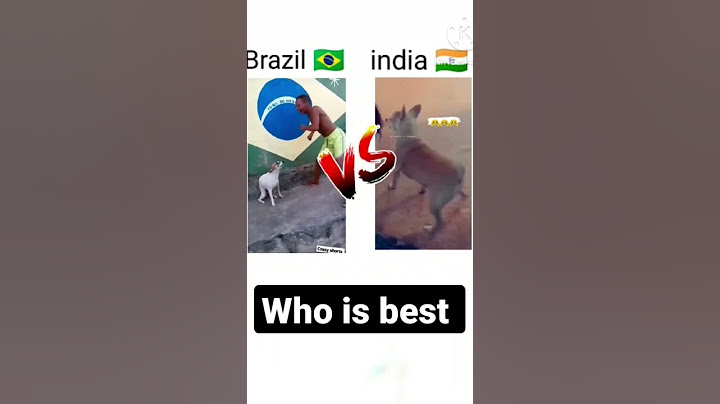 Brazil🇧🇷 dog  dance V/S india🇮🇳 dog dance #india #dog dance