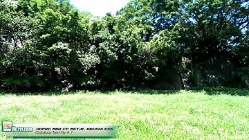 3DPro X Walkera Metal Brushless Mini CP Outdoor Test Flight
