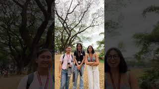 Asking UP Diliman Students About Why They Chose Their Course | CANDY STUDENT SURVEYS