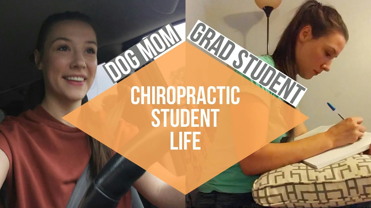 Day in the Life at Chiro School | Sara Zwink