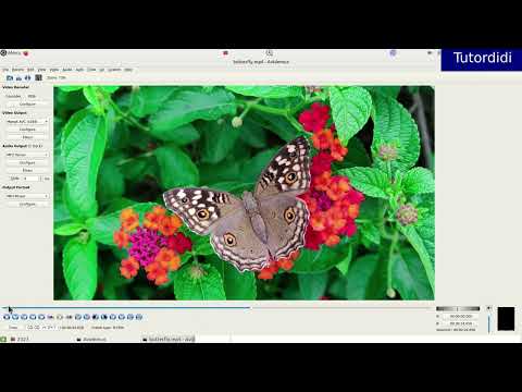 How To Add Borders Around  Video In Avidemux? - Avidemux Video Editor Tutorial #15