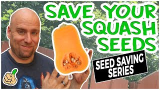 Saving Squash Seeds For Next Year | Best Guide Ever