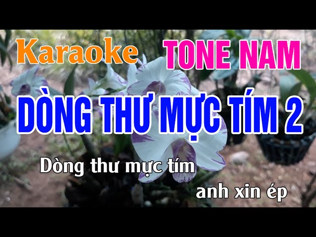 Dòng Thư Mực Tím 2 Karaoke Tone Nam Nhạc Sống l Phối Chuẩn Dễ Hát l Thế Khang Organ