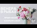 ВЕНЕРА В РЫБАХ 💞с 5 апреля по 2 мая💞 ВРЕМЯ ЛЮБВИ