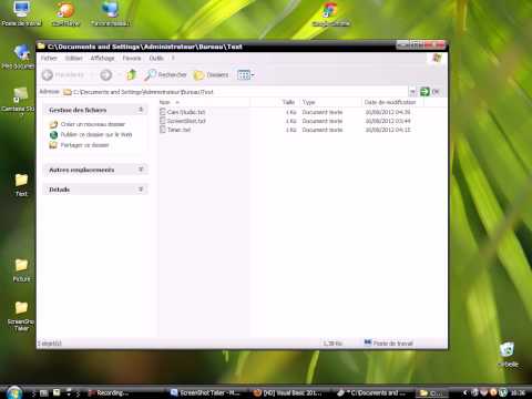 How To Make ScreenShot Taker In Visual Basic 2008