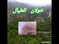 بالة شعبية باله خولان الطيال اليمن