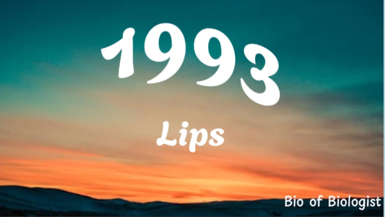 1993   Lips Lyrics