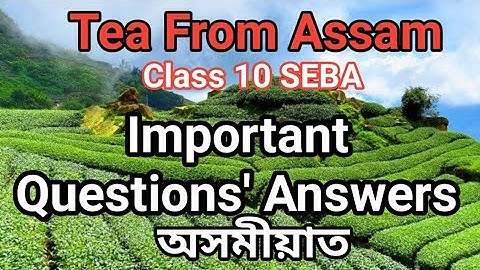 Tea from Assam Question and Answer in Assamese | Class 10 | Important Questions and Answers