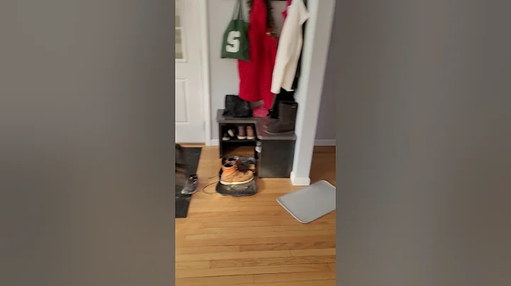 My puppy with a case of zoomies