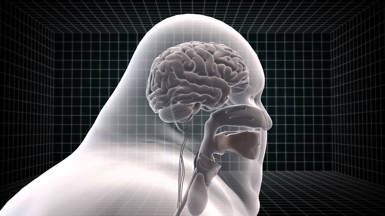 UK scientists design microchip to treat obesity 