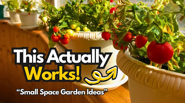 🌿 Top 10 Small-Space Garden Ideas That Actually Work! 🌿 thumbnail