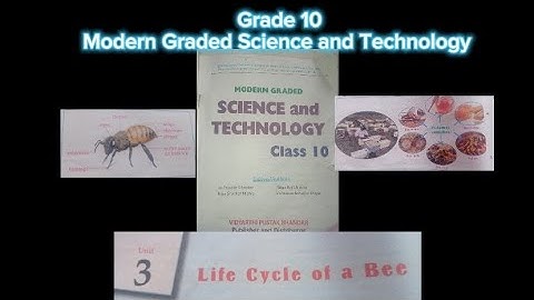 Life Cycle of Bee 🐝 (chapter 3) || Grade 10 Modern Graded Science || SEE PRACTICE 2080 ||