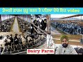         dairyfarm  viralviral trending