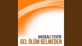 Medine'nin Yollarında — Tevfik Ahıskalı kapak görseli