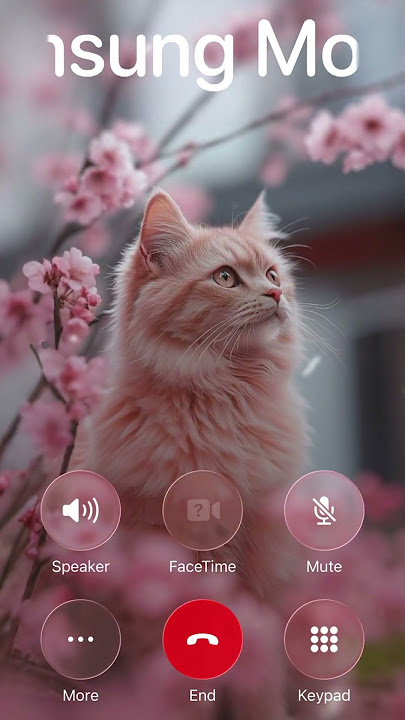 Samsung ringtone & Cute Kitty 🐱🎶  #catringtone #samsungringtone #shorts