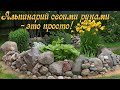 Альпинарий своими руками - это просто! Ландшафтный дизайн садового участка.