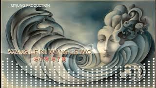 忘了你 忘了我 Wang Le Ni, Wang Le Wo-王傑 - Wang Jie | Remix by DJ Licky Liu