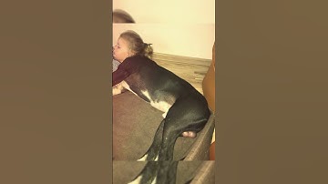 Confusing Perspective 🥴🥴 v84