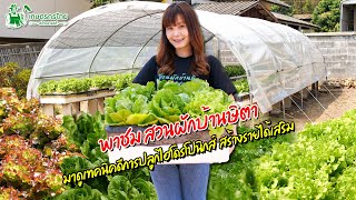 พาชมสวนผักบ้านษิตา ปลูกผักไฮโดรโปนิกส์ สร้างรายได้ดี l ชมสวนเกษตรกรไทย Ep223