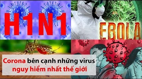 Từ Corona, điểm mặt các virus gây ‘khẩn cấp toàn cầu’ - PLO