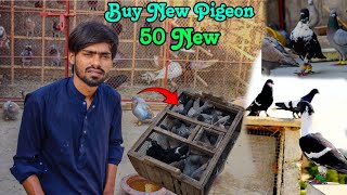 50 New Pigeon Kharide 🥳🥰 by Rehan Äzam Birds 3,915 views 3 weeks ago 8 minutes, 47 seconds